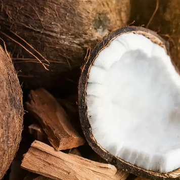 Santal and Coconut - Сандал і Кокос, 10 г