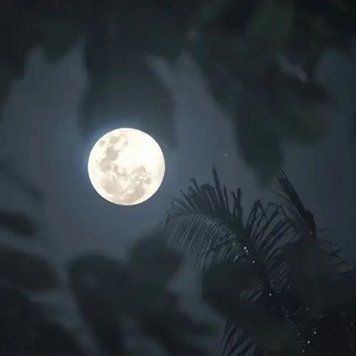 Moonlit Silk - Місячний Шовк, 10 г