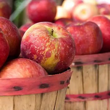 Apple Harvest - Яблучний Врожай, 10 г