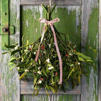 Mistletoe, 10 г