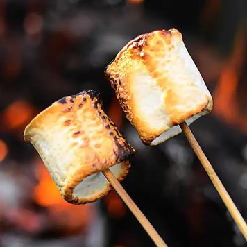 Campfire Marshmallow - Смажений Маршмелоу, 10 г